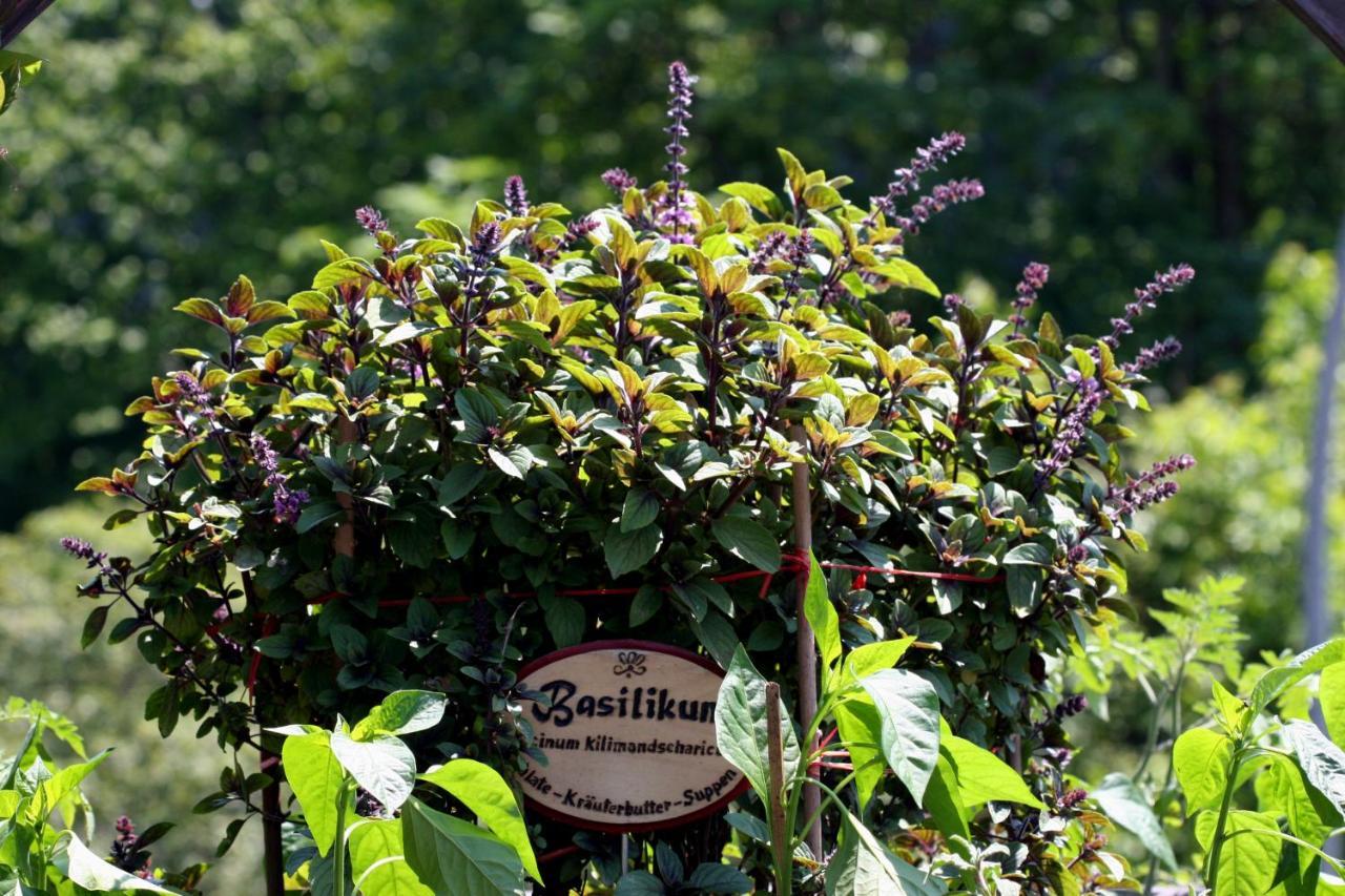 Der Baeren In Zell Hotel Eisenberg  Bagian luar foto